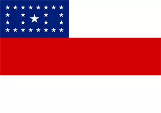 Bandeira estado Amazonas