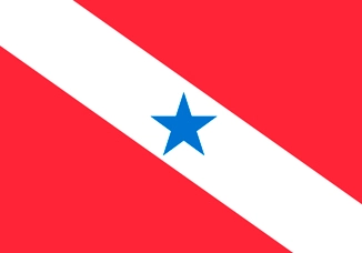 Bandeira estado Pará